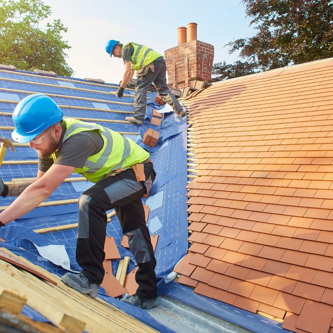 How do you protect plants during roof work?