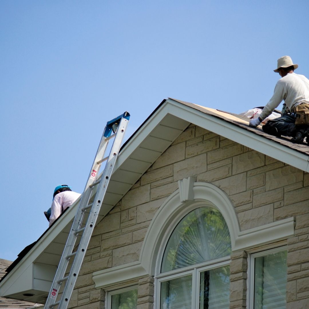 Do you offer roof maintenance plans?