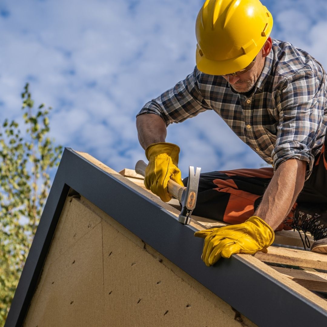 Do you remove moss and algae from roofs?