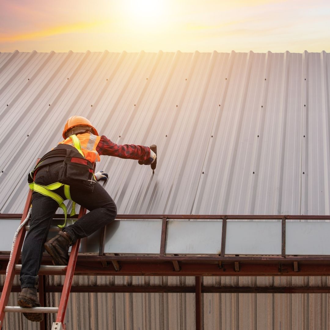 Brighton’s Leading Roof and Gutter Experts