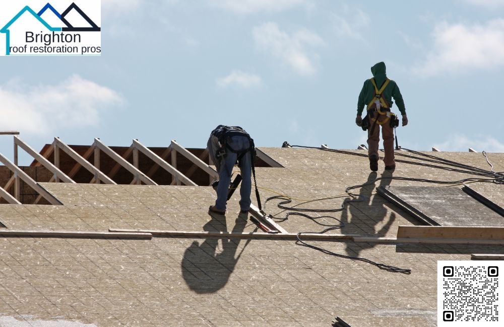 Professional Roof Washing Services